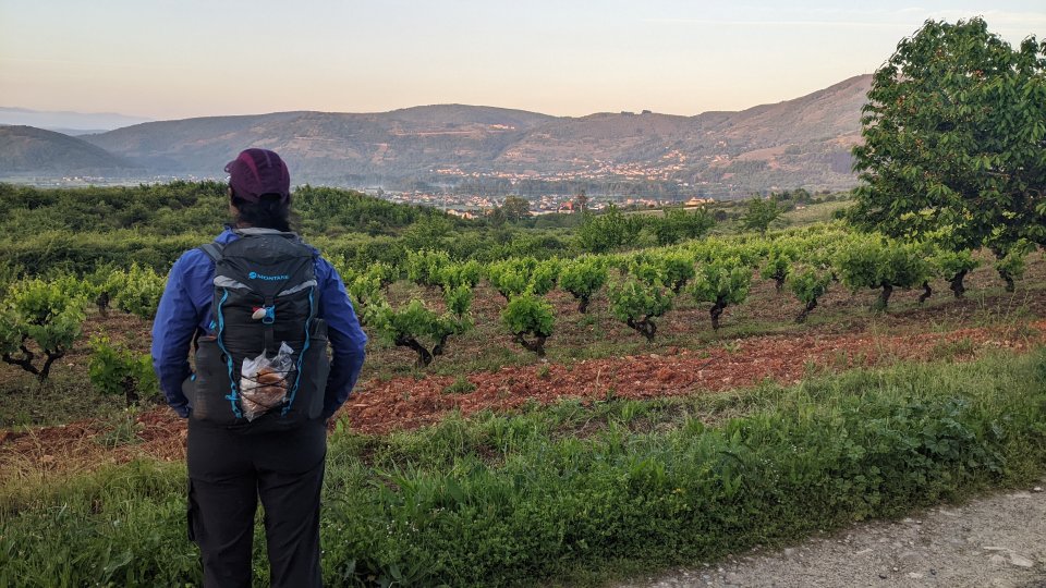 Day 22 - Cacabelos to Vega de Valcarse