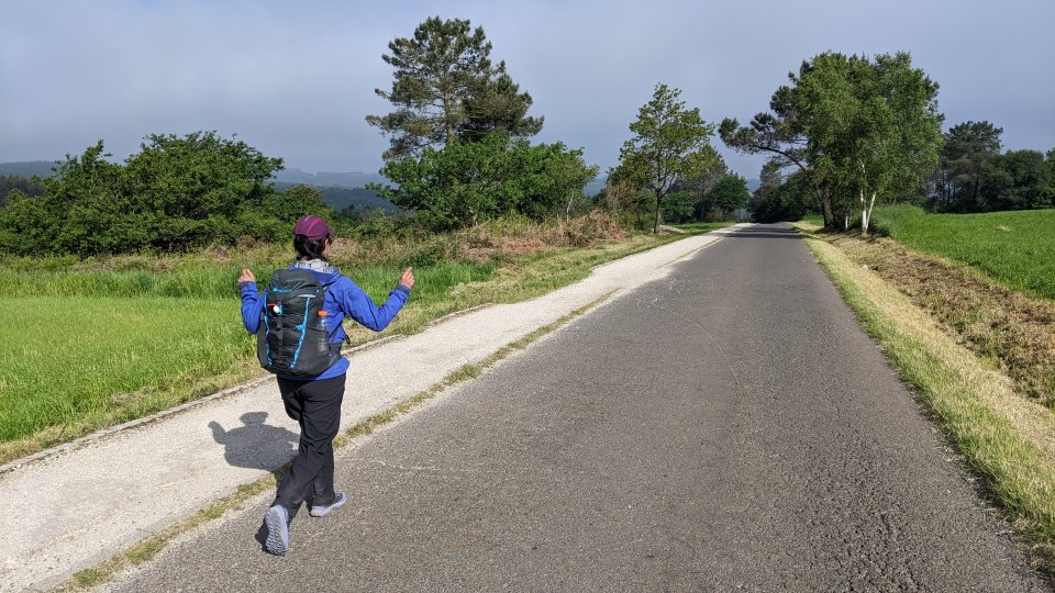 Day 26 - Portomarín to Palas de Rei